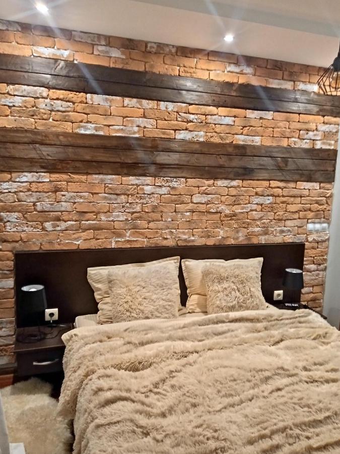 Mila Vip Apartment 班斯科 外观 照片