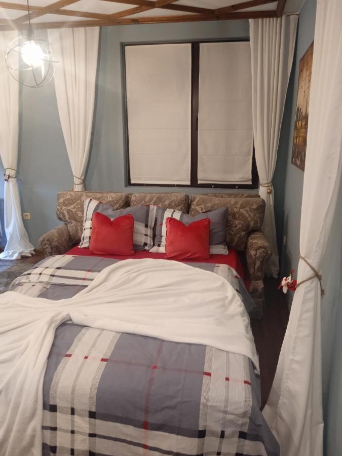 Mila Vip Apartment 班斯科 外观 照片