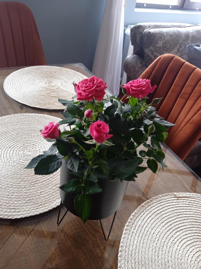 Mila Vip Apartment 班斯科 外观 照片