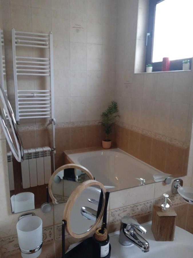 Mila Vip Apartment 班斯科 外观 照片