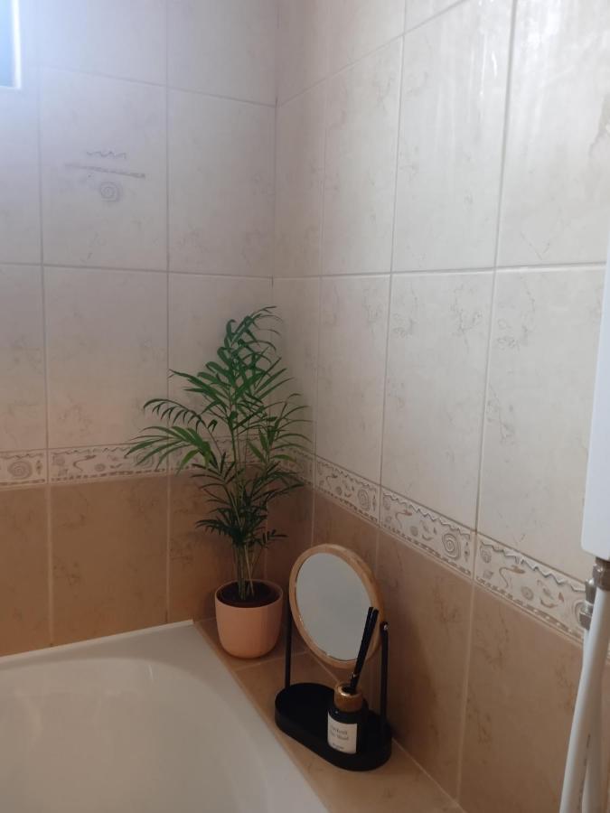Mila Vip Apartment 班斯科 外观 照片