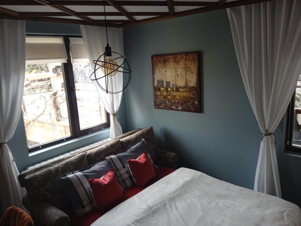 Mila Vip Apartment 班斯科 外观 照片