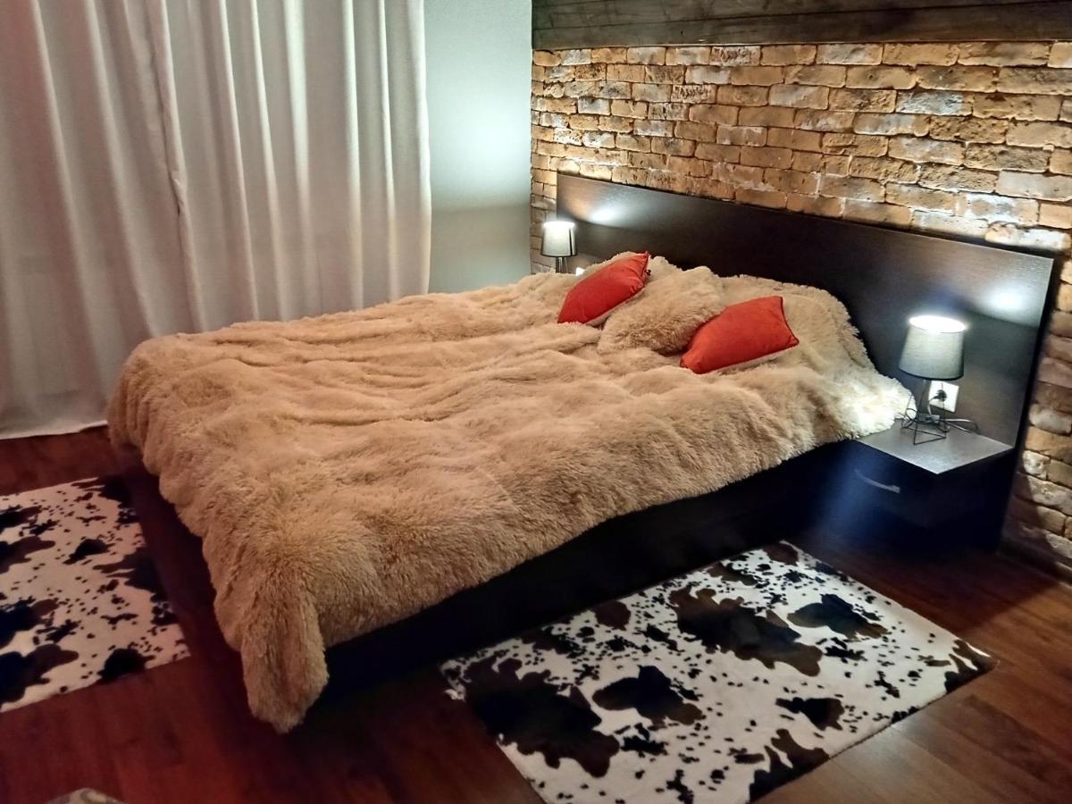 Mila Vip Apartment 班斯科 外观 照片