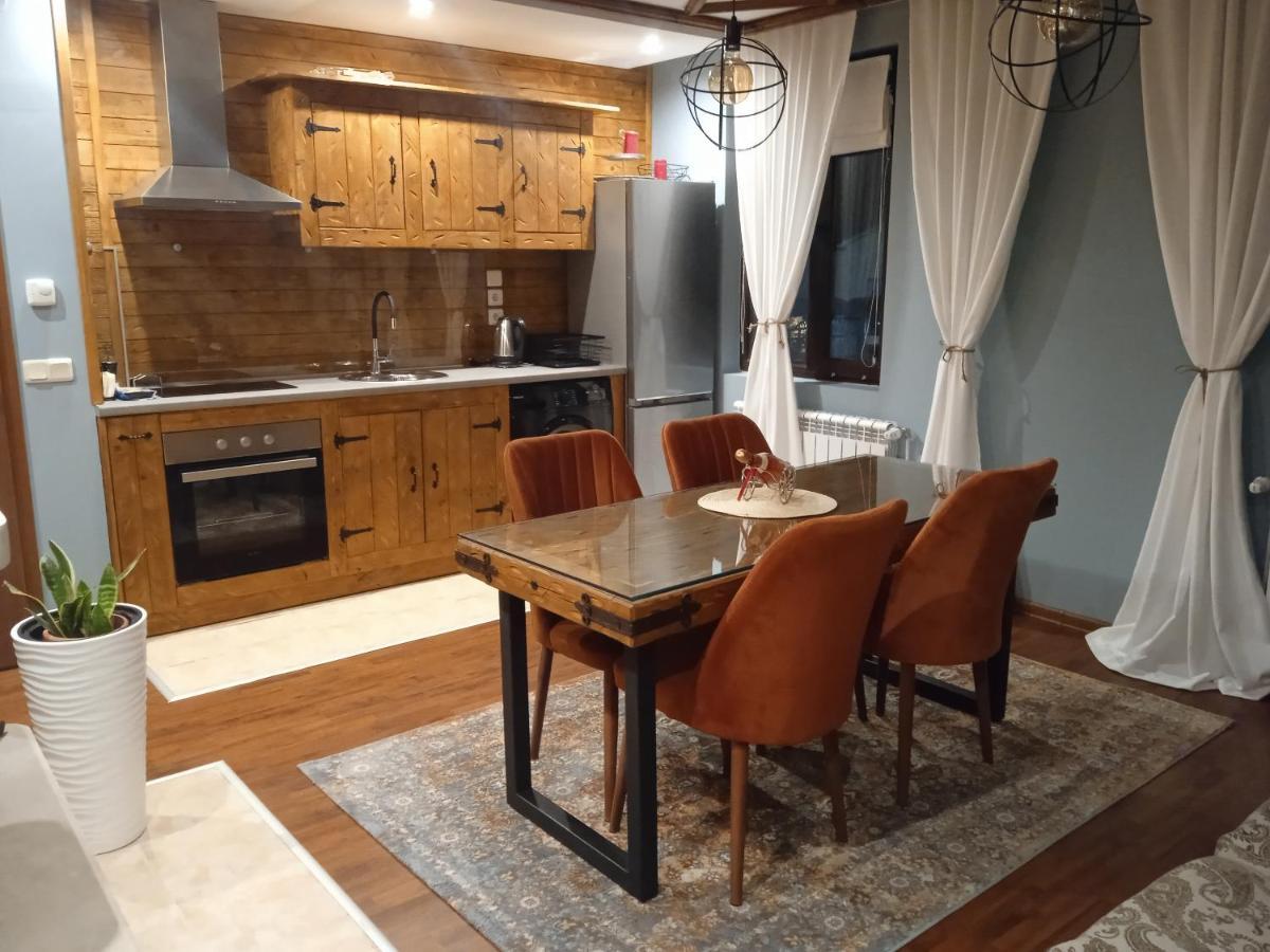 Mila Vip Apartment 班斯科 外观 照片